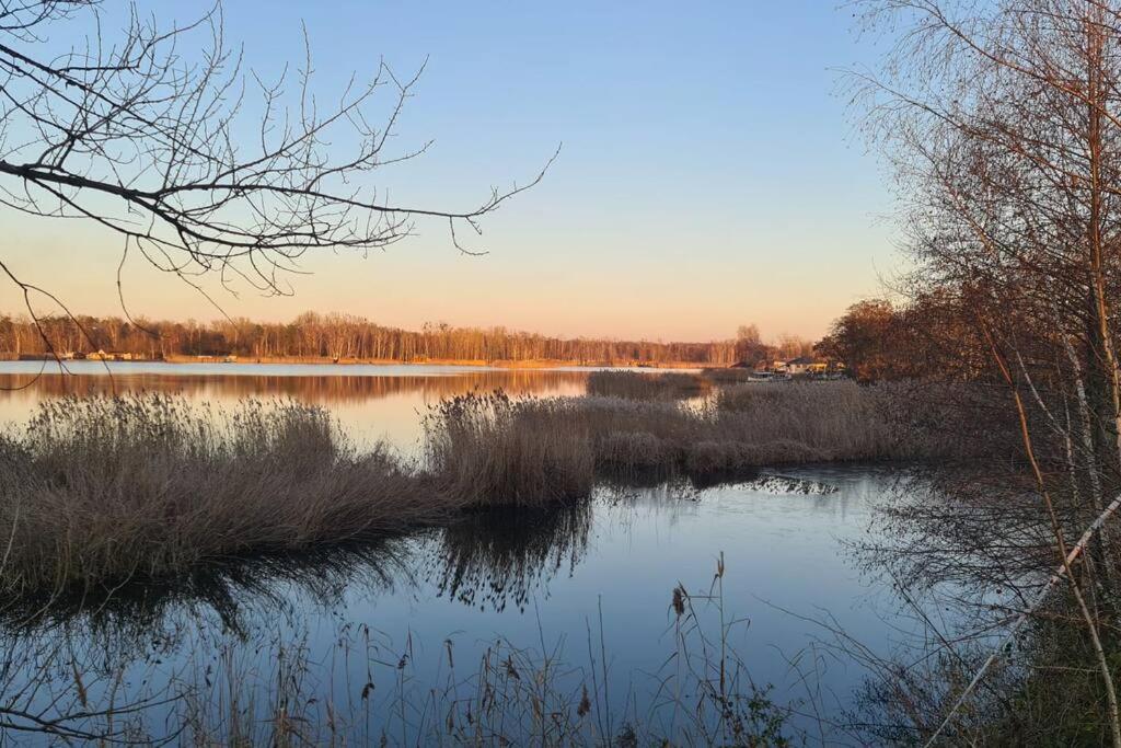 Wake Domek Blue House Januszkowice Januszkowice  Exteriör bild